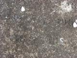 image of grave number 205897